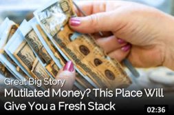 Disaster | Money