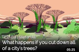 Cities | Trees