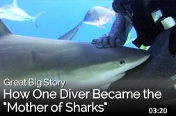 Mothers | Oceans
